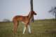 dsc_3888_small.jpg