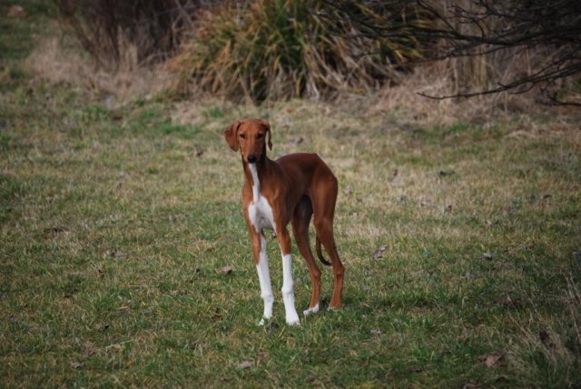 dsc_3890.jpg