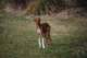 dsc_3890_small.jpg