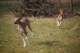 dsc_3892_small.jpg