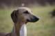 dsc_3895_small.jpg