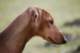 dsc_3898_small.jpg