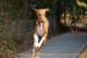 dsc_3911_small.jpg