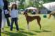 dsc_4094_small.jpg