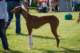 dsc_4095_small.jpg