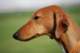 dsc_4100_small.jpg
