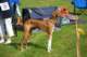 dsc_4103_small.jpg