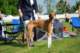 dsc_4104_small.jpg