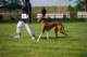 dsc_4119_small.jpg