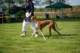dsc_4120_small.jpg