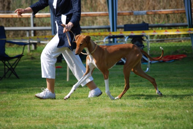 dsc_4126.jpg