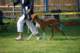 dsc_4126_small.jpg