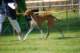 dsc_4127_small.jpg