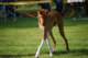 dsc_4131_small.jpg