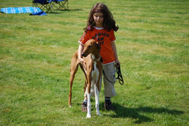 dsc_4186.jpg