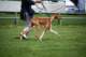 dsc_4246_small.jpg