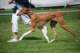 dsc_4251_small.jpg