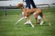dsc_4255_small.jpg