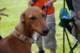 dsc_4340_small.jpg