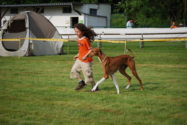 dsc_4373.jpg
