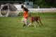dsc_4373_small.jpg