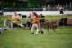 dsc_4383_small.jpg