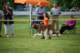 dsc_4386_small.jpg